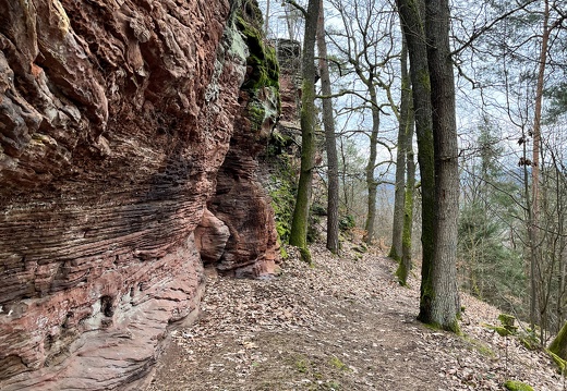 24-03-01 13-18-26 8872